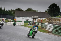 Lower Group Green Bikes